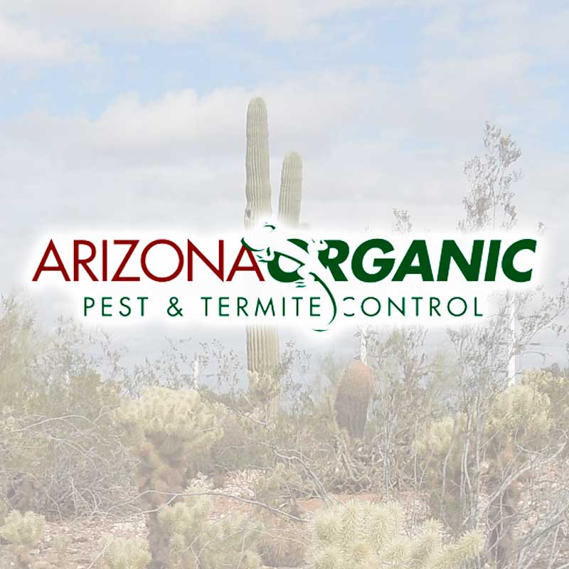 Arizona Organic Pest Termite Control Green